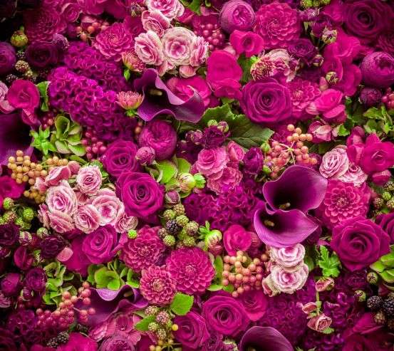 Фотошпалери бузкові троянди та лілії Фотошпалери бузкові троянди та лілії 20886