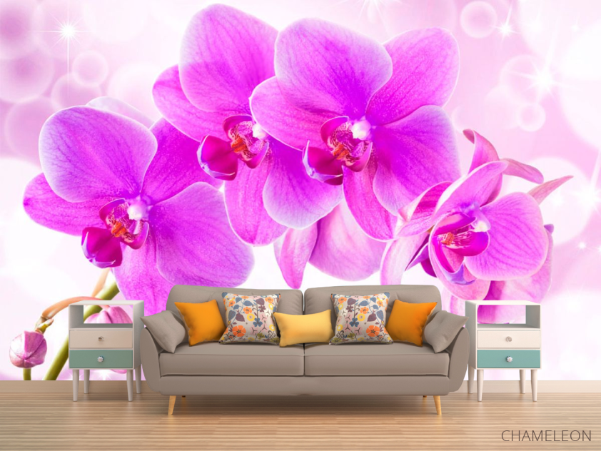 Фотообои Орхидеи - 1