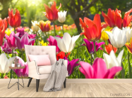 Фотообои Остроконечные тюльпаны - 4