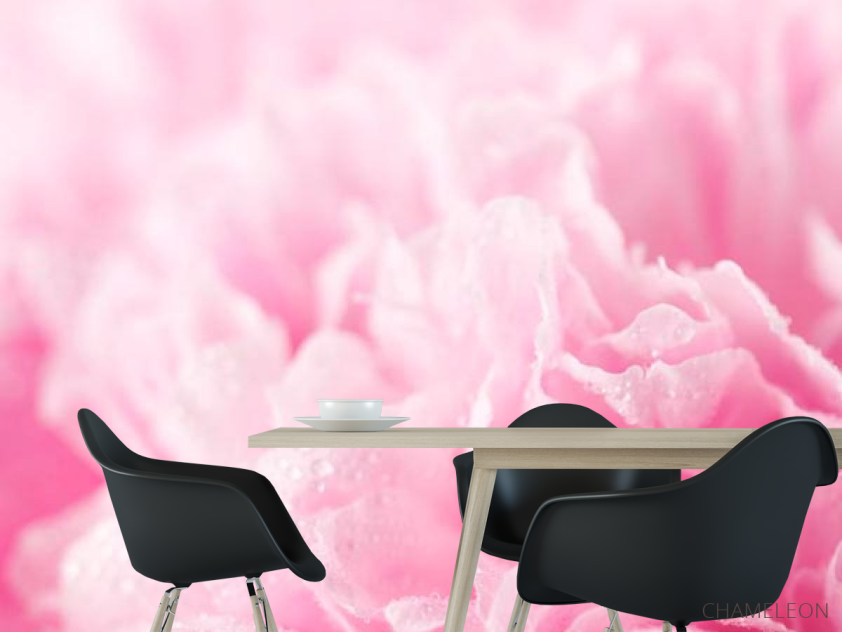 Фотошпалери Рожеві пелюстки - 1