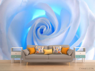 Фотообои роза - 1