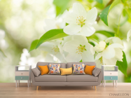 Фотообои белые цветочки на деревьях - 1