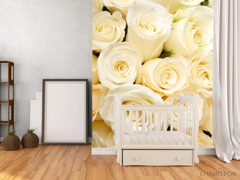 Фотообои Розы белоснежные, букет - 2