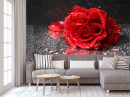 Фотообои Бардовая роза - 3