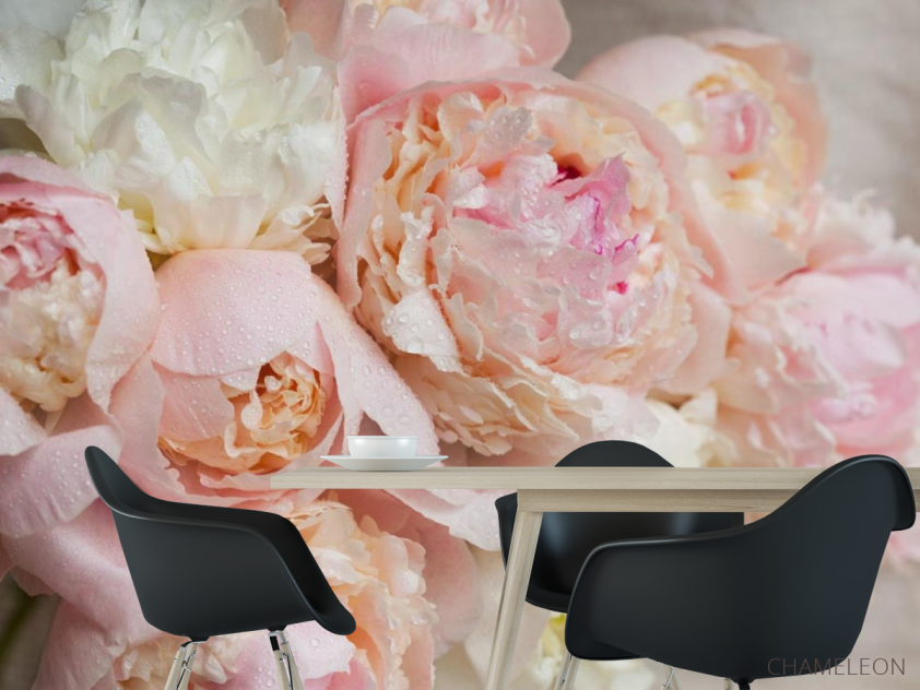 Фотошпалери ніжні квіти з краплями - 1