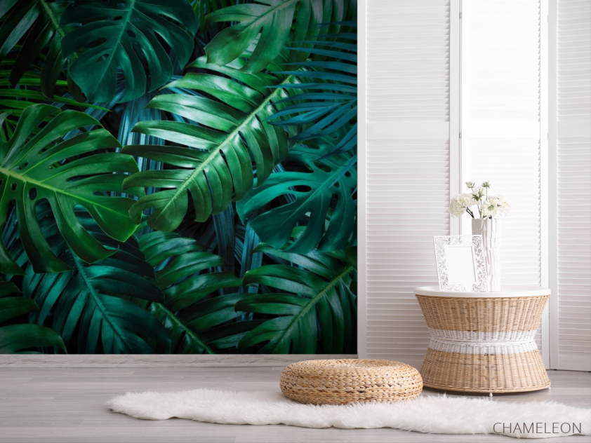 Фотошпалери листя монстери - 2