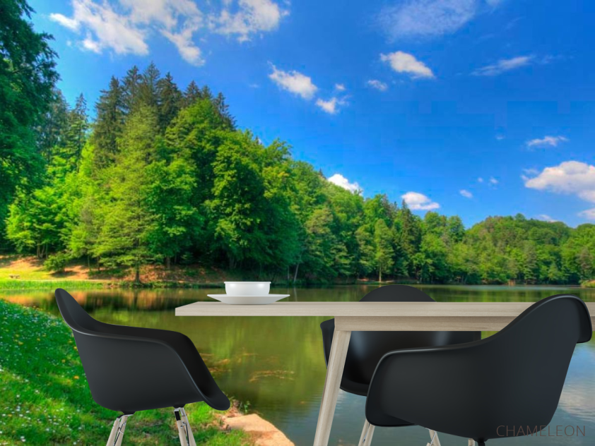 Фотошпалери Тихий ліс - 1