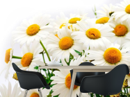 Фотошпалери Букет польових ромашок - 1