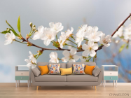 Фотообои Мелкие белые цветочки - 1