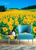 Фотообои Поле подсолнухов - 4