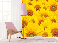 Фотошпалери Поле соняшників - 4