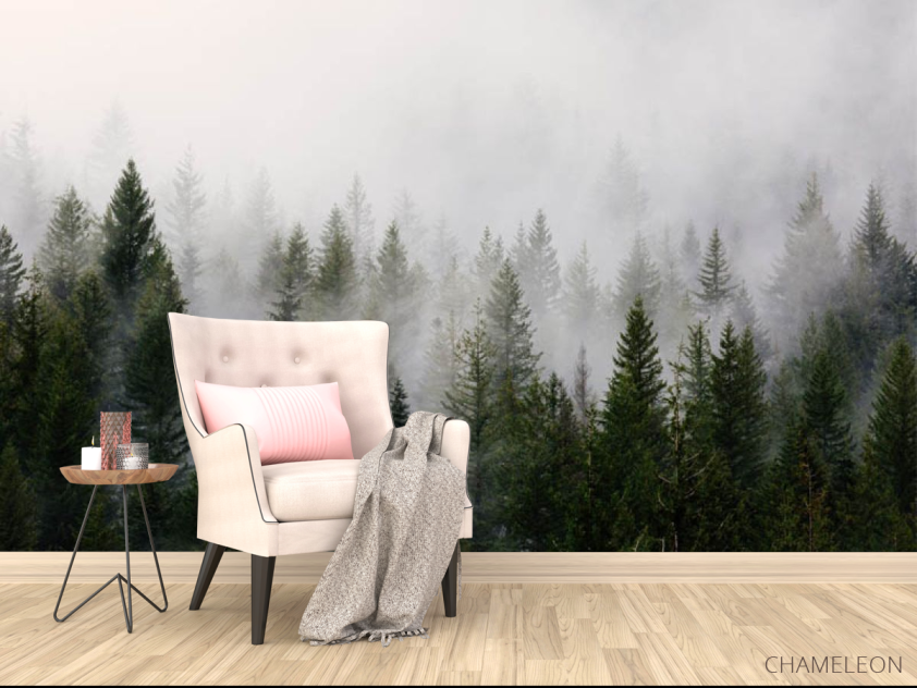 Фотообои Лес в тумане - 4