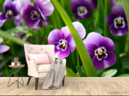 Фотообои Фиолетовые анютины глазки - 4
