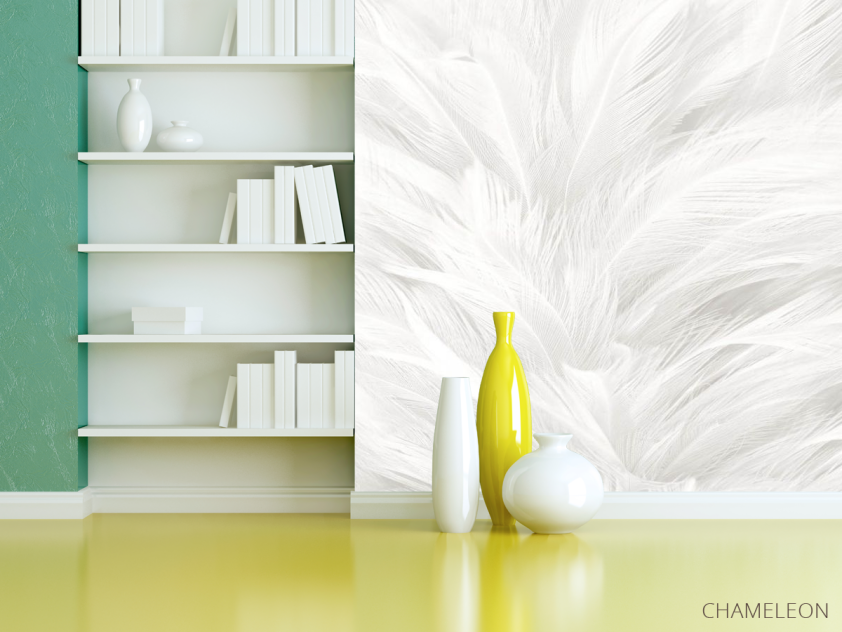 Фотошпалери Білі пір'я - 3