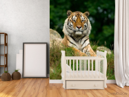 Фотообои Величественный тигр - 2