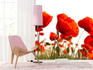 Фотошпалери Маків червоних полі - 4