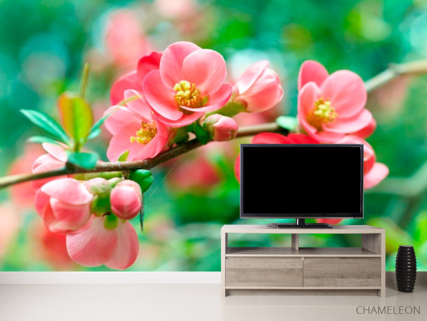 Фотообои Имбирь коралловый - 2