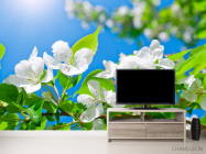 Фотообои Цветы белые маленькие - 2