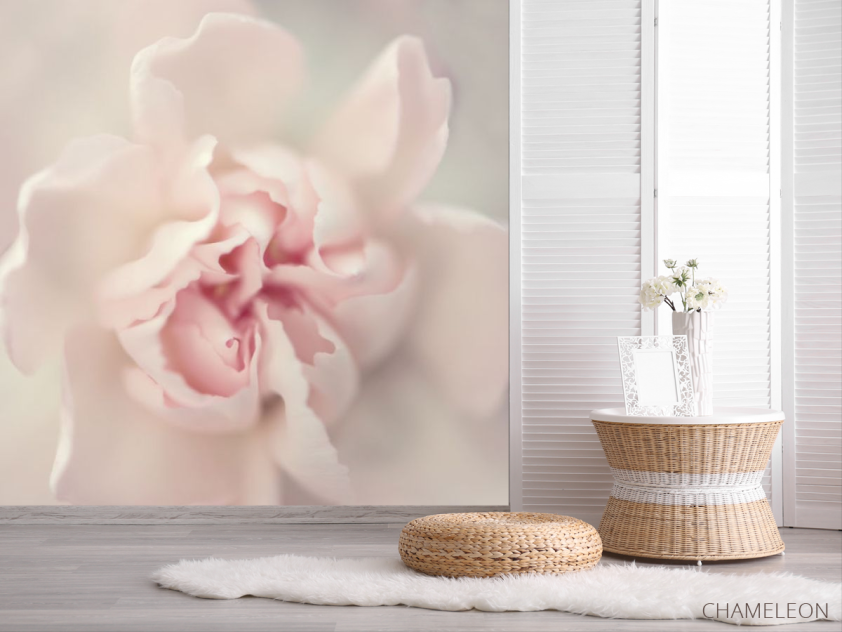 Фотошпалери Макро квітка - 2