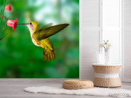 Фотошпалери Колібрі - 2