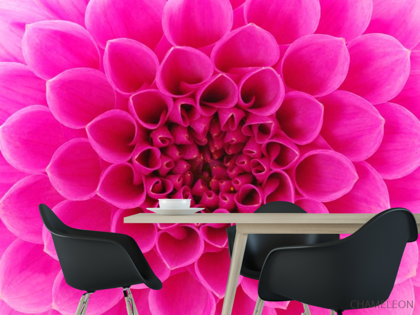 Фотообои Сотовый цветок малиновый - 1