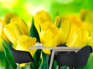 Фотошпалери Яскраво-жовті тюльпани - 1