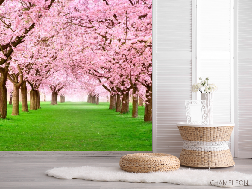 Фотошпалери Квітучі вишні - 2