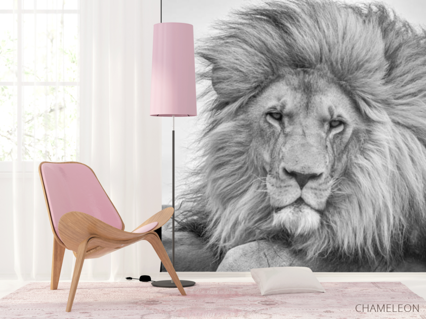Фотошпалери лев - 4