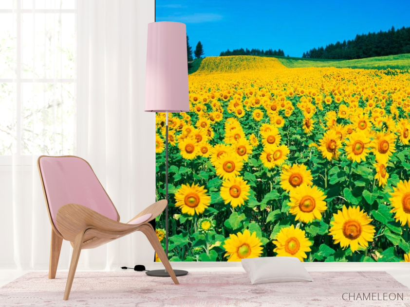 Фотошпалери Поле соняшників - 4