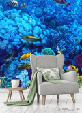 Фотообои Голубой подводный мир - 3