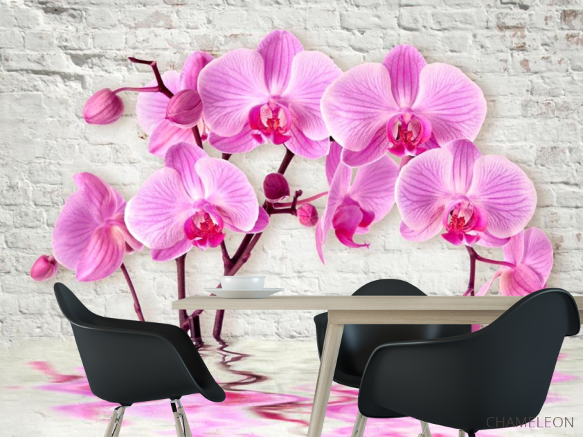 Фотошпалери 3д орхідея - 1