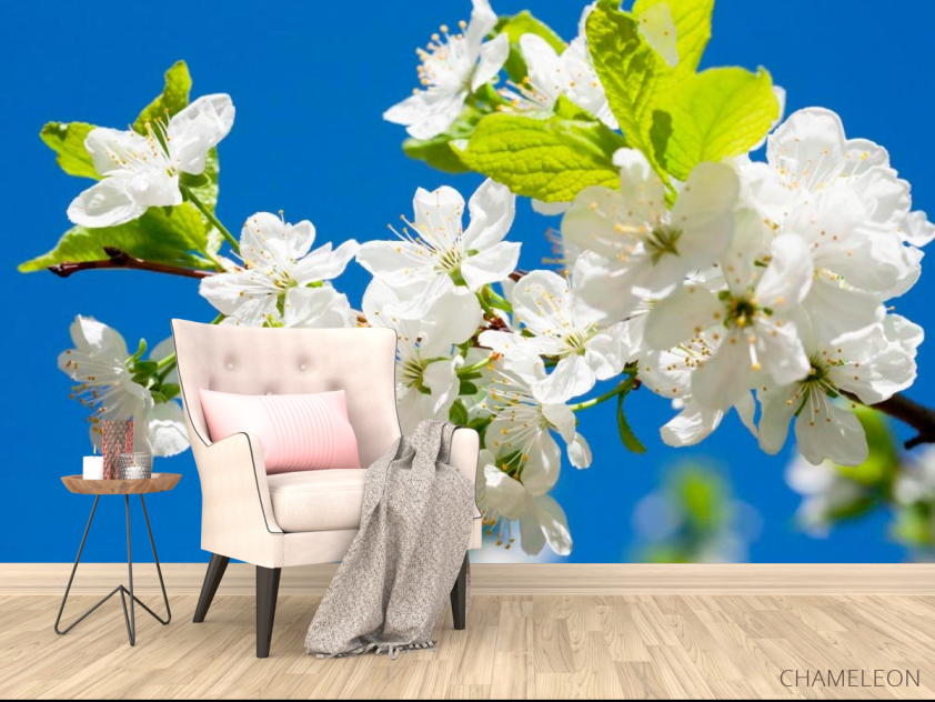 Фотообои Цветы на фоне неба - 4