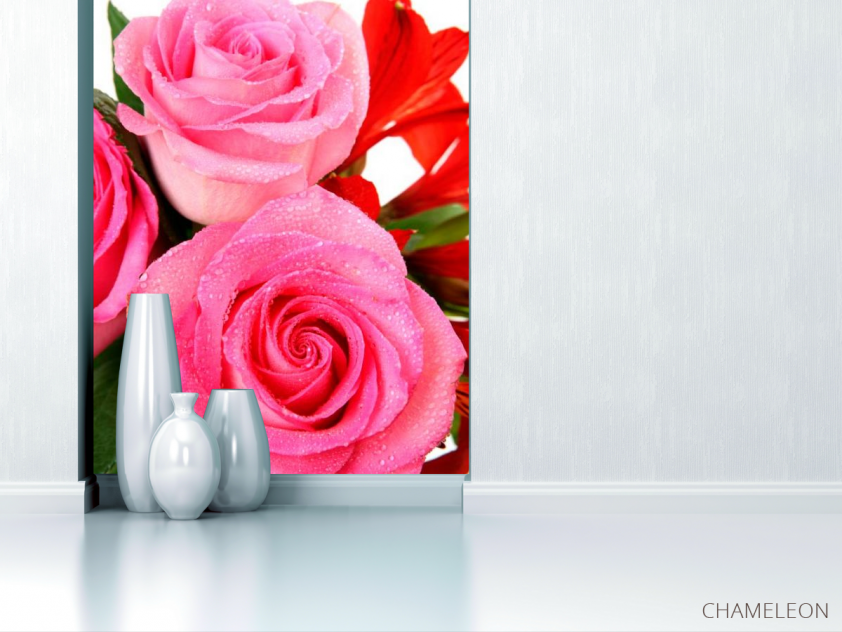 Фотообои Бледно-розового оттенка розы - 1