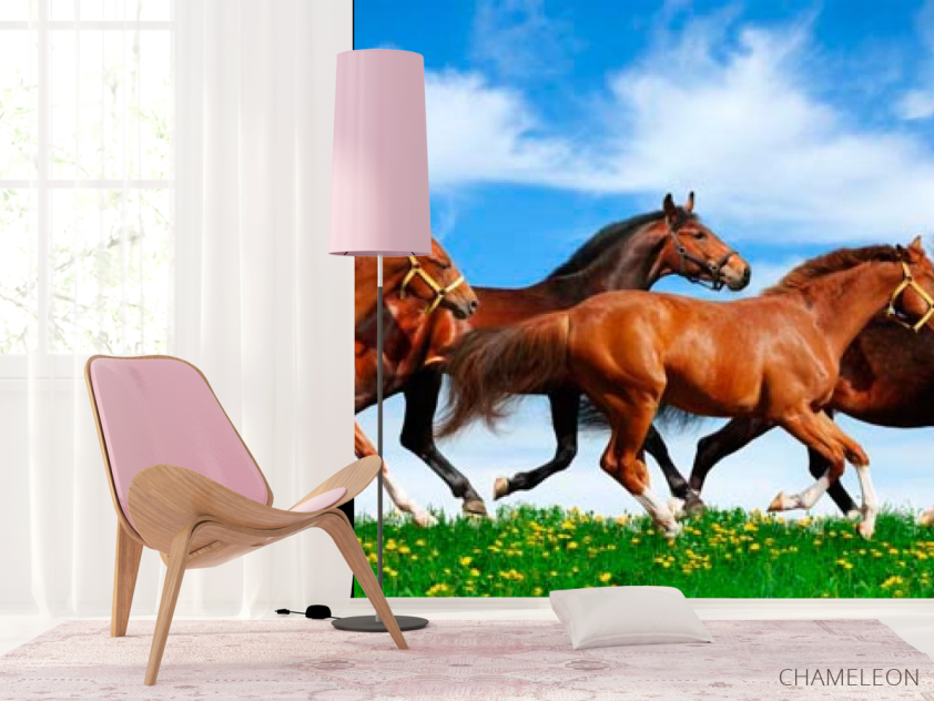 Фотошпалери Табун біжать коней - 4