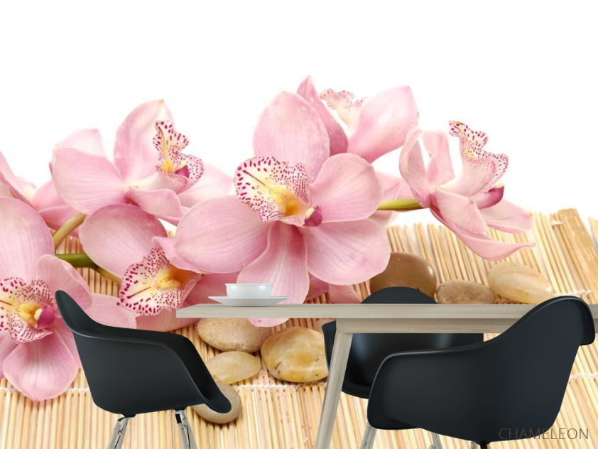 Фотошпалери Орхідея - 1