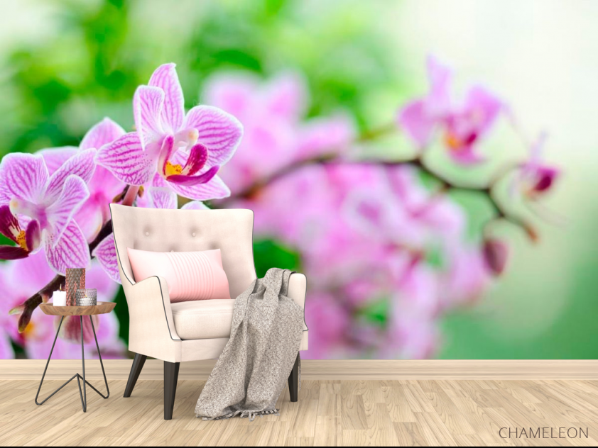 Фотообои Орхидеи сиреневые цветут - 4