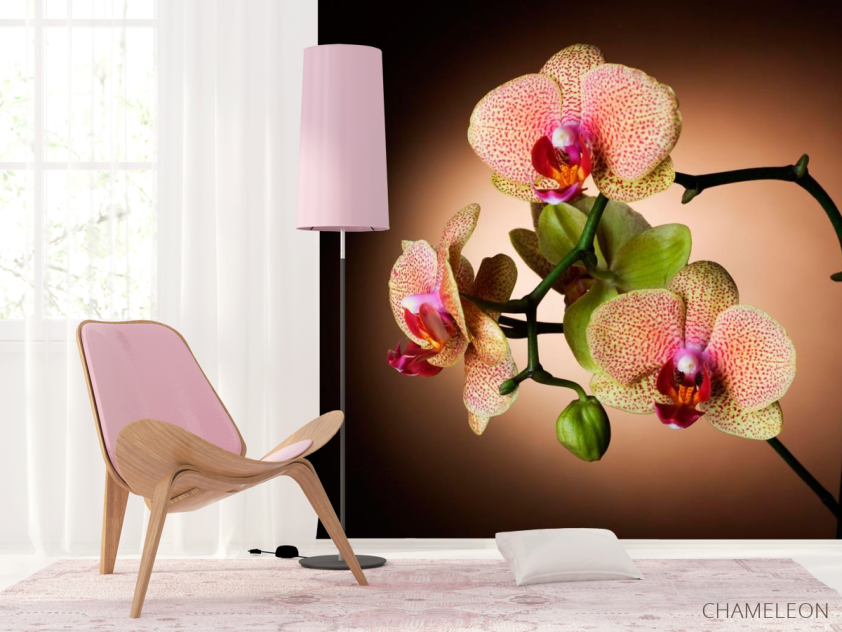 Фотообои Веточка кремовых орхидей - 4