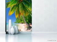 Фотообои Пальма у моря - 1