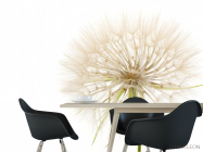 Фотошпалери кульбаба - 1