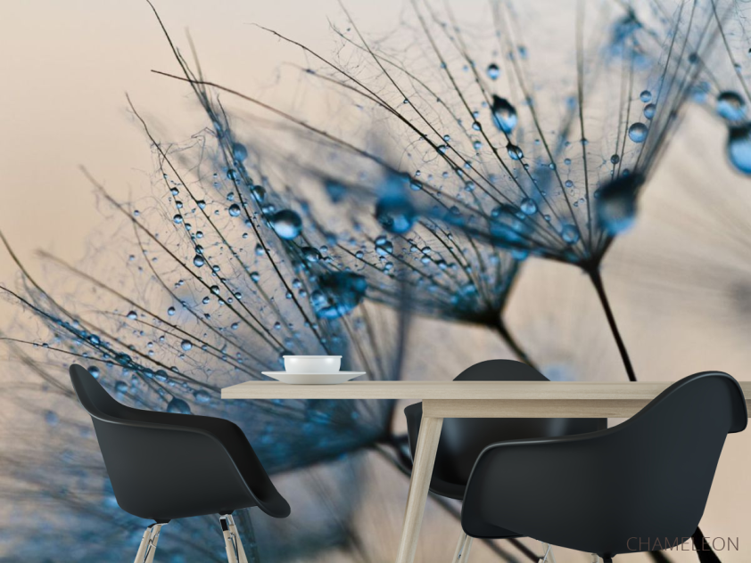 Фотошпалери кульбаби - 1