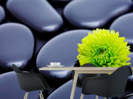 Фотошпалери Квітка і камені - 1