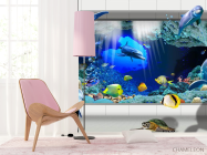 Фотошпалери Дельфіни - 4