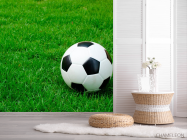 Фотошпалери Футбольний м'яч - 2