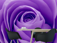 Фотообои Сиреневая роза - 1