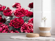Фотошпалери Бордові півонії - 2