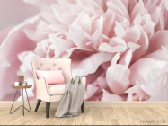 Фотообои Пион макро - 4