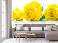 Фотообои Розы желтые - 3