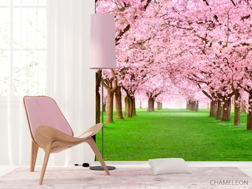 Фотошпалери Квітучі вишні - 4