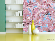 Фотошпалери квітуче дерево - 3