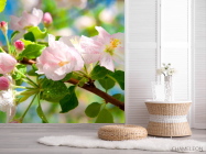 Фотошпалери Цвіте шипшина - 2